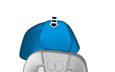 GLL1006888