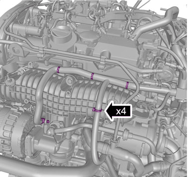 GLL1007868