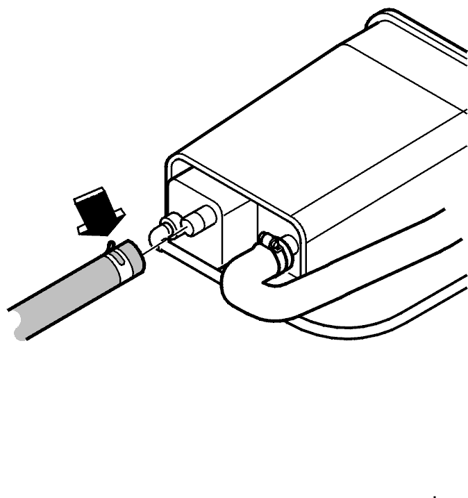 GLL100956