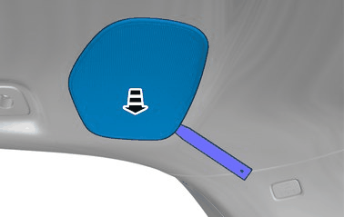 GLL1011838