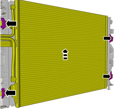 GLL1013144