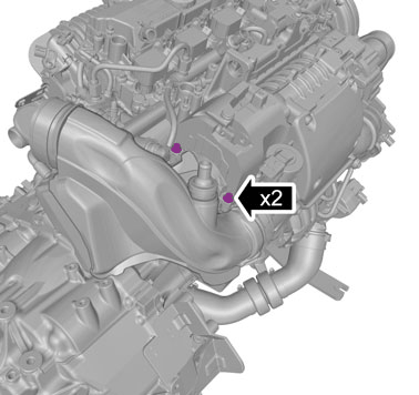 GLL1013831