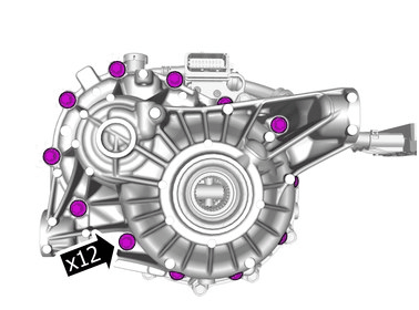 GLL1016981