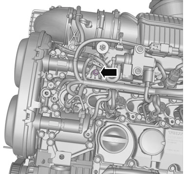 GLL1021384