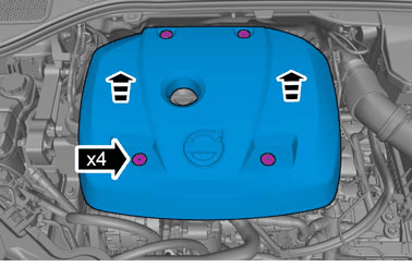 GLL1021572