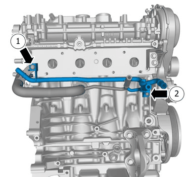GLL1022533