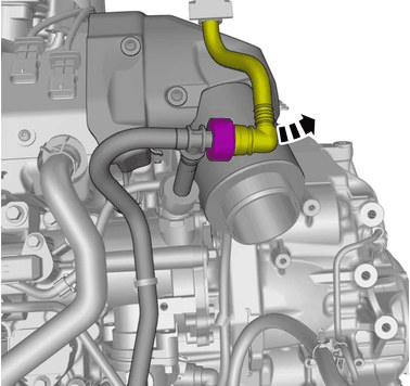 GLL1024271