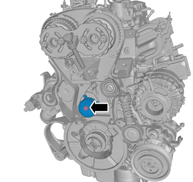 GLL1024642