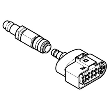 GLL1024990