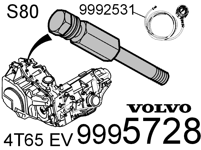 GLL102657