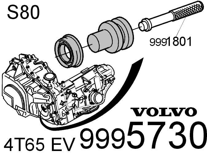 GLL102658