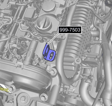 GLL1031339