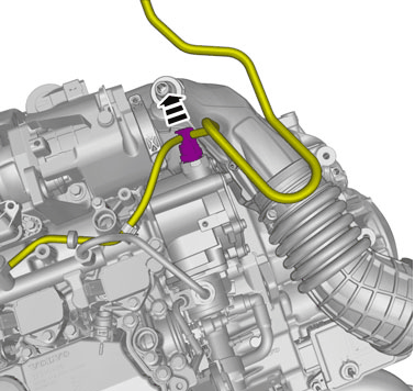 GLL1038745