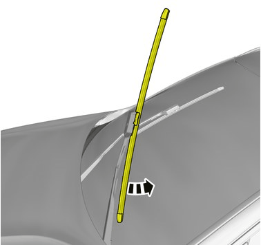 GLL1041835