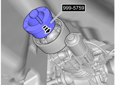 GLL1048664