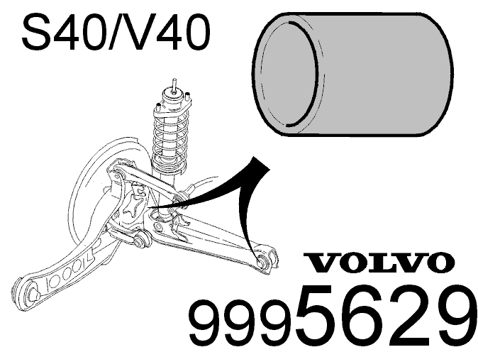 GLL105550
