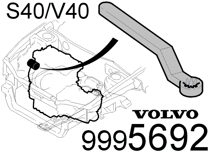 GLL105570