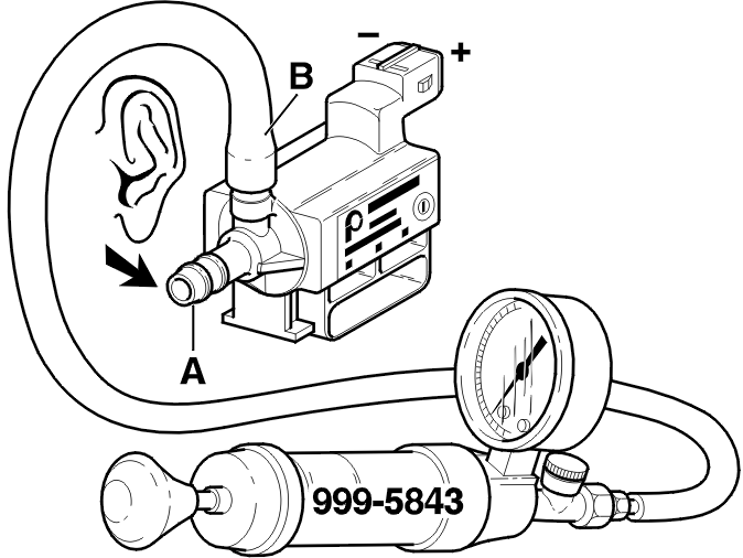 GLL105621