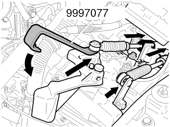 GLL106593