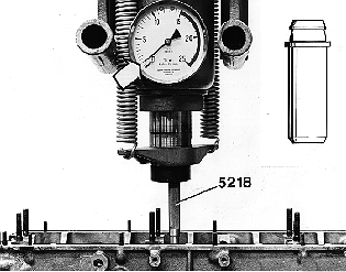 GLL108430