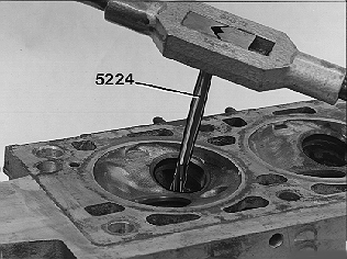 GLL108440