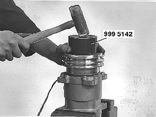 GLL108463