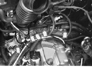 GLL108674
