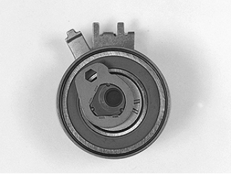 GLL108753