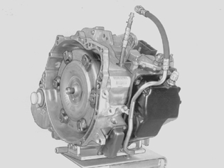 GLL109117