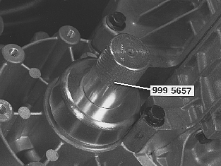 GLL109194