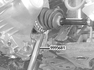 GLL109204