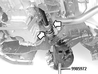 GLL109205