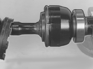 GLL109239