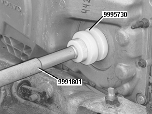 GLL109273