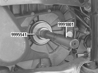 GLL109288