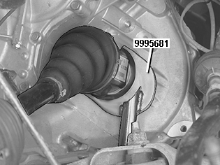 GLL109300