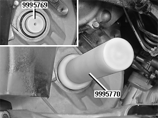 GLL109424