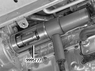 GLL109589