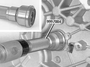 GLL109636