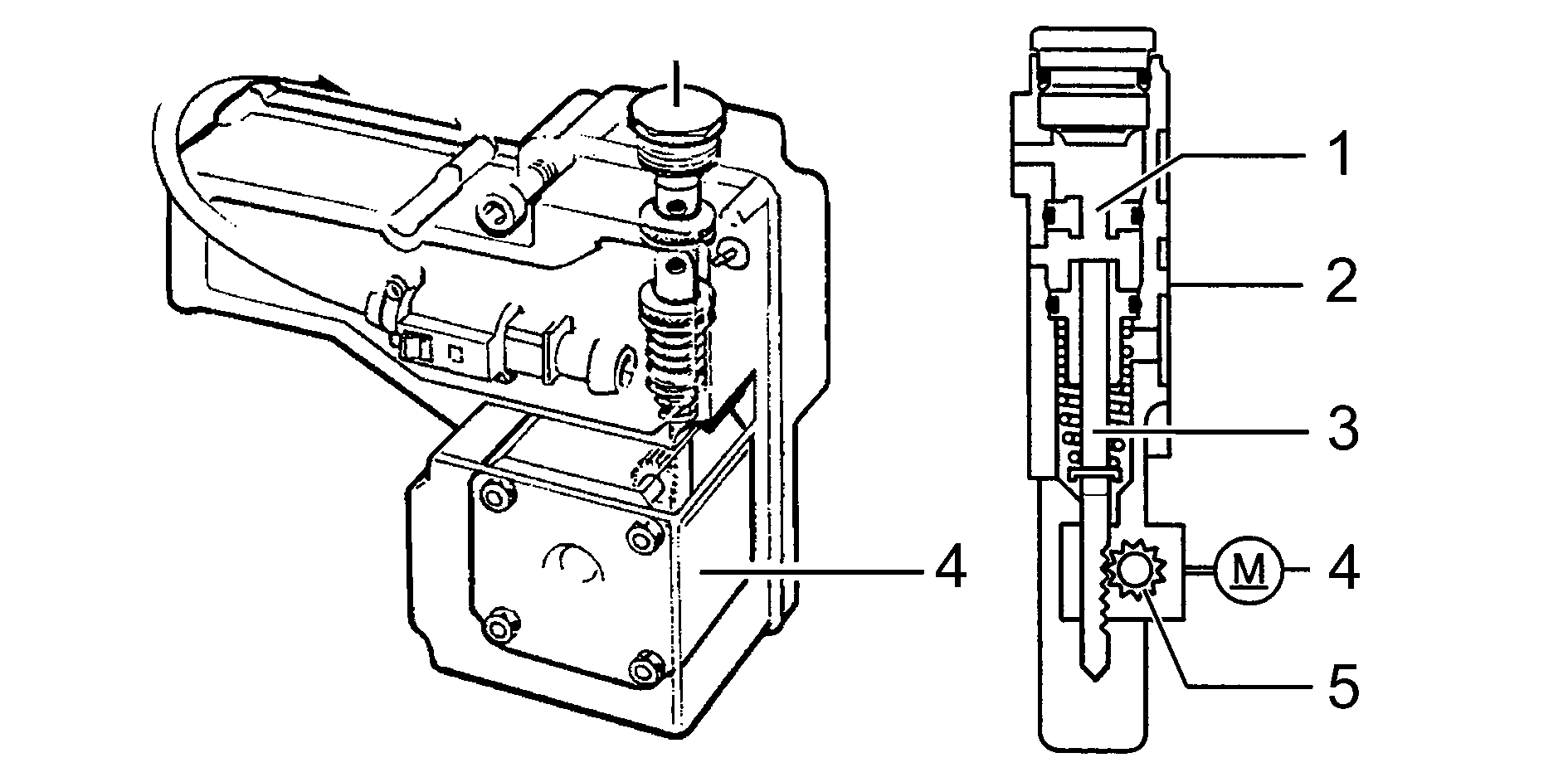 GLL109656