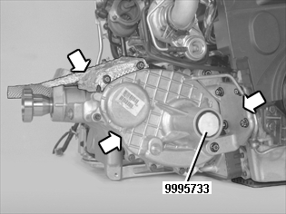GLL109675