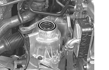 GLL109680