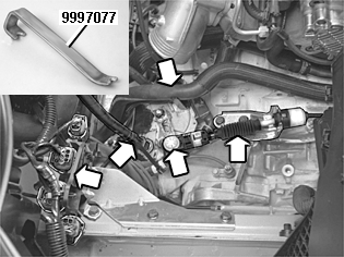 GLL109705