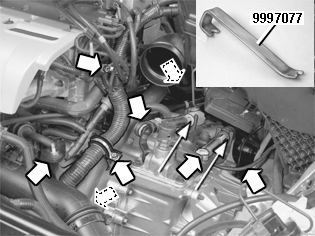 GLL109748