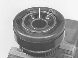 GLL109785