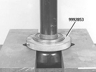 GLL109794