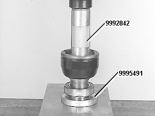 GLL109795