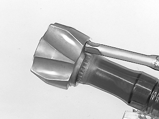 GLL109796