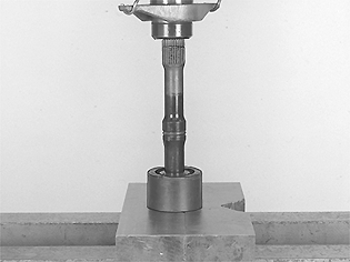 GLL109817