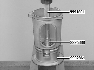 GLL109831
